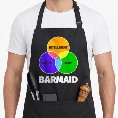 Tablier de cuisine noir avec un diagramme de Venn coloré et le texte barmaid intelligent drôle sexy en bas.