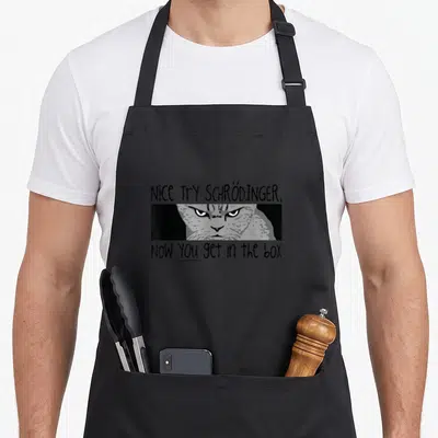 Tablier de cuisine noir avec un chat aux yeux menaçants et le texte Nice Try Schrödinger Now You Get in the Box imprimé en blanc.
